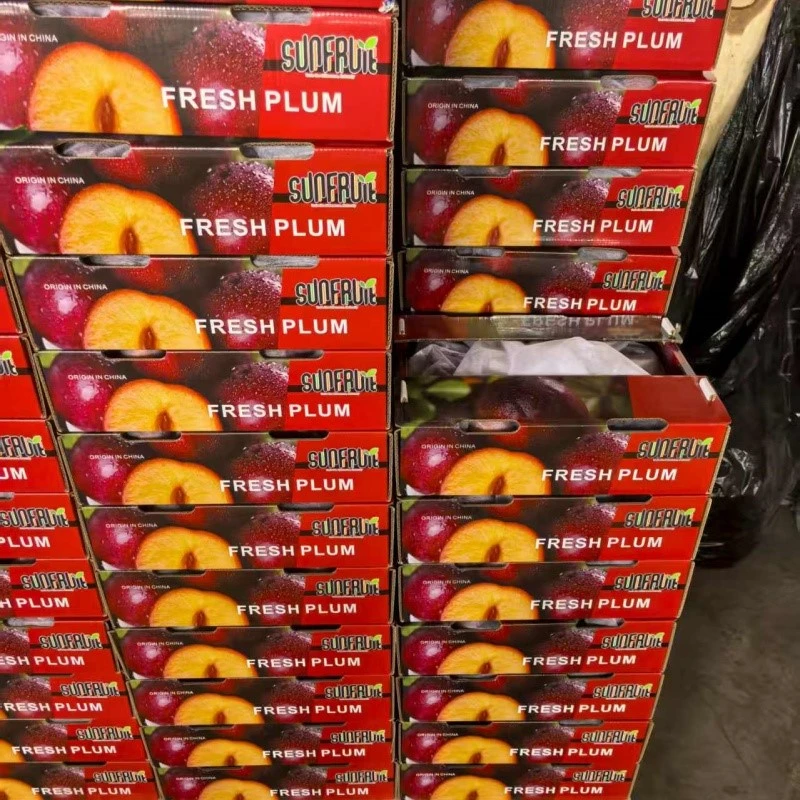 fresh plum fresh plum
