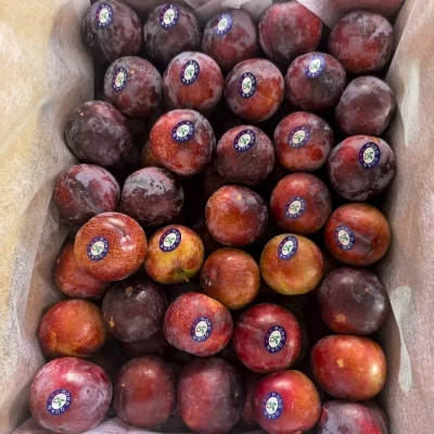 fresh plum fresh plum
